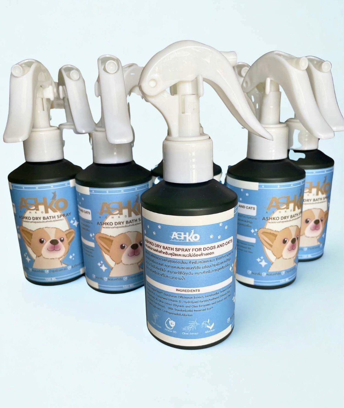 ASHKO Dry Bath Spray (สเปรย์อาบแห้ง) 150 ml